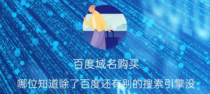 百度域名购买 哪位知道除了百度还有别的搜索引擎没，现在的百度点进去全是广告？